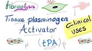 Tissue Plasminogen Activator tPA  Uses  Hematology  Pharmacology [upl. by Cummins]