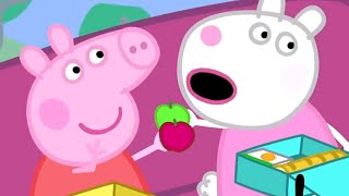 Peppa Pig en Español Episodios completos 🚌 La excursión 🚌 Peppa Pig 2019  Pepa la cerdita [upl. by Cynar]