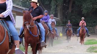 Ringstead Ranch Peruvian Horses in Canada [upl. by Elata]