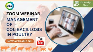 Webinar on quotManagement of COLIBACILLOSIS in Poultryquot [upl. by Anawd]