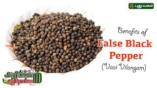 வாய்விளங்கம் மருத்துவ பயன்கள்  Benefits of Embelia Ribes false black pepper  EP 44  12042019 [upl. by Navlys602]