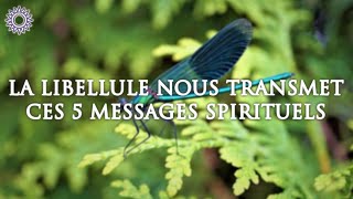 🦟 LA LIBELLULE NOUS TRANSMET CES 5 MESSAGES SPIRITUELS [upl. by Hilary631]