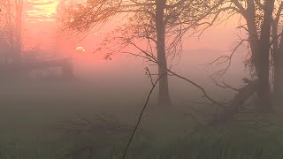 Severe weather damages homes property in Reedsville [upl. by Suolevram]