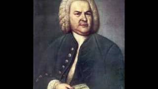 Bach Brandenburg Concerto No 4 Andante II [upl. by Alletnahs]