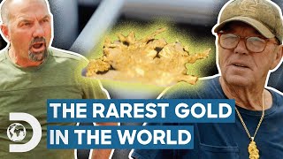 Man Finds 35 Million Of Rare Gold In His Own Backyard  Americas Backyard Gold [upl. by Bailar]