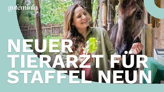 Neue Staffel quotTierärztin Dr Mertensquot mit prominentem Neuzugang [upl. by Avle]