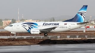 Egypt Air 737500 Cairo  Amman Landing [upl. by Cheyney67]