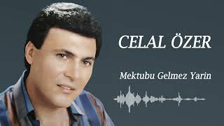 Celal ÖZER  Mektubu Gelmez Yarin [upl. by Tobi210]