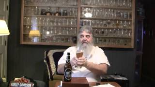 Beer Review  234 Harboe Bear Beer [upl. by Rizas]