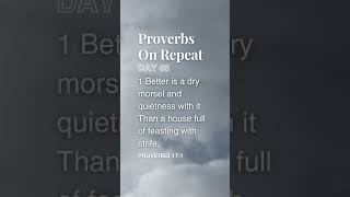 Proverbs on Repeat  Day 65  Proverbs 171 [upl. by Voltmer]