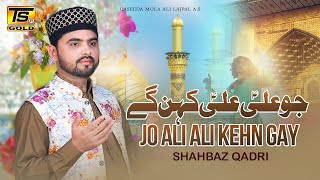 Jo ali ali ken ge  Qaseeda by shahbaz qadri ts gold 2018 [upl. by Tami854]