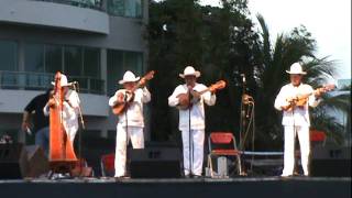 CONJUNTO CHALCHIHUECAN DE LOS HNOS OCHOA 1er GRAN FESTIVAL DE ARPA LLANERA 22 de julio [upl. by Harrison318]