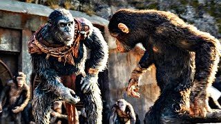 Kingdom of the Planet of the Apes 2024 Film Explained Story Summarize [upl. by Audun]