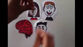 Brain Awareness Video Contest Prosopagnosia The Inability to Recognize Faces [upl. by Knowling]