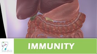 IMMUNITY PART1 [upl. by Priebe]