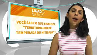 Ligado na Dica 05  O que significa Territorialidade Temperada ou Mitigada [upl. by Lohse]