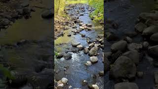 Nine Mile Creek in Bloomington Minnesota nature exploreminnesota [upl. by Nnyledam]