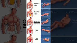 home core workout  abdominal exercises at home  sports viral [upl. by Nilkoorb106]