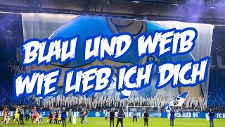 FC Schalke 04 Hymne  Anthem  Blau und weiß wie lieb ich dich🔵⚪️ [upl. by Demb273]