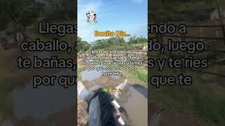 Consejos de Oro ✍️☘️ caballos rancho caballosfinos vaqueros corridos 🤠 [upl. by Ttessil]