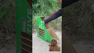 Jebakan burung😱 pigeon uniquetrap birds easytrap unboxing trapbox birdtrap youtubeshorts [upl. by Anaujahs824]