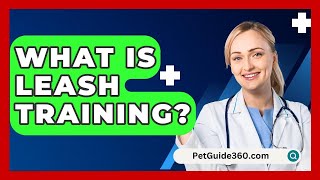 What Is Leash Training  PetGuide360com [upl. by Florella]