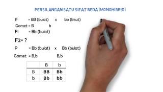 Tips Genetika Monohibrid [upl. by Adnorehs752]