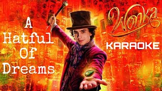 A Hatful Of Dreams KARAOKE Instrumental from quotWonkaquot Timothée Chalamet amp The Cast Of Wonka [upl. by Annaik]