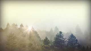 Trees and Fog Church Motion Graphic  Sharefaithcom [upl. by Karlow]