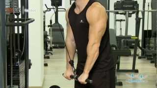 Extension de triceps con polea alta [upl. by Ajam]