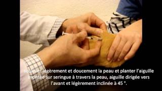 Comment faire une injection sous cutanée à un cochon dInde [upl. by Acimat215]