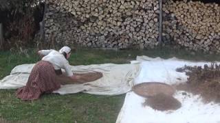 ThreshingWinnowing Amaranth by hand removing coarse material basket amp sieve Part 35 [upl. by Rennerb239]