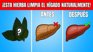 ¡12 Hierbas Más Poderosas para Limpiar tu Hígado Rápida y Naturalmente [upl. by Eyllek]