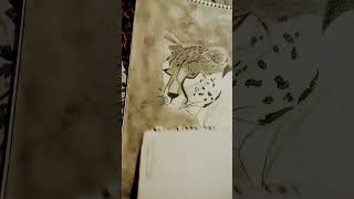 My Leopard realistic drawing drawing artist [upl. by Livvie256]