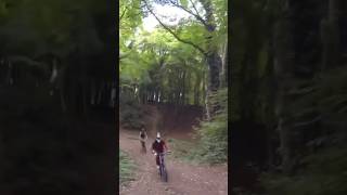 Woodland Biking Trails 🌲 woods biking jumps downhill mtb mountainbike randwickwoods [upl. by Francisco]