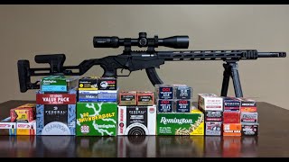 Ruger Precision Rimfire 22lr Ammo Comparison Part 1 [upl. by Anilegna916]