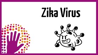 Zika Virus explained simply [upl. by Pegeen]