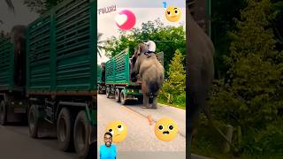 Hathi mera sathi hai 👈 ytshorts viralvideo greenscreeen video [upl. by Leanora]