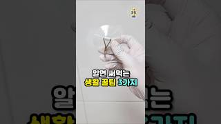 알면 평생 써먹는 생활꿀팁 3가지💡 살림팁 생활꿀팁 꿀팁 흡착식후크 [upl. by Atolrac222]