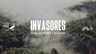 ¡Bienvenidos a Invasores [upl. by Lleret]