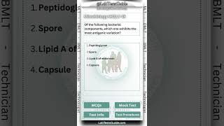 Microbiology MCQ 45  labtestsguide microbiology mcqs [upl. by Asira]