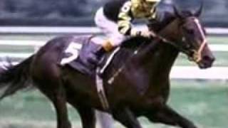 Top Ten greatest Racehorses of all time read description [upl. by Llekcir]