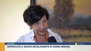 Approvato il nuovo regolamento di igiene urbana [upl. by Philana]