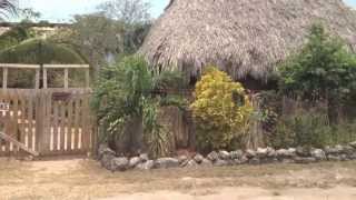 Hidden Tree Paradise Sarteneja Belize [upl. by Asinet]