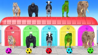 Cow Elephant Tiger Gorilla TRex 3d Animal Long Slide Game Funny 3d Paint Animals Cage Game [upl. by Ahsenaj]