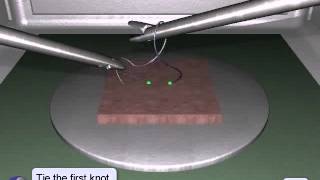 LapSim Suturing amp Anastomosis Square Knot [upl. by Dulcy]