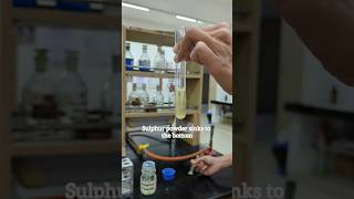 Hays Sulphur Powder Test For Bile Salts In Urine biochemistry urinetest [upl. by Leanatan]