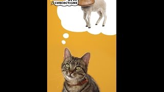 Cat Concoctions® Wet Cat Food  Friskies® Commercial 30 [upl. by Natascha]