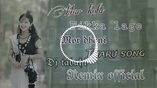 Har Kohi Fikka Lage Mor Dhani Raj kusmi New tharu viral Song dj tabahi remix official Kanchanpur [upl. by Pilar566]