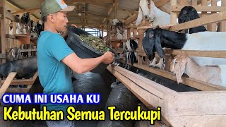 CERDAS ‼️ Sukses Pelihara Kambing Mampu Jadi Usaha Utama [upl. by Anuala503]